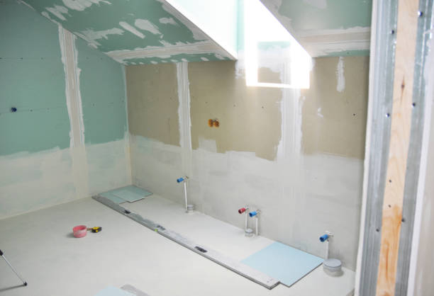Best Crawl Space Mold Remediation  in Long Prairie, MN