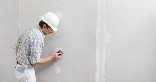Best Mold Damage Restoration  in Long Prairie, MN