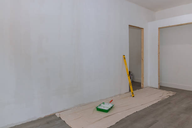 Best Commercial Mold Inspection  in Long Prairie, MN