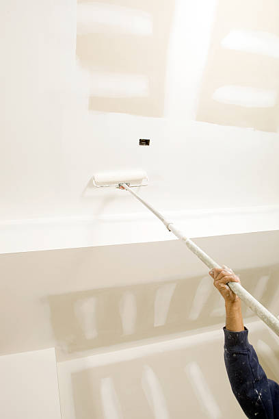 Best Mold Removal for HVAC Installations  in Long Prairie, MN
