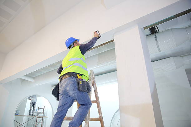 Mold Odor Removal Services in Long Prairie, MN