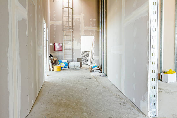 Reliable Long Prairie, MN Mold Removal Solutions