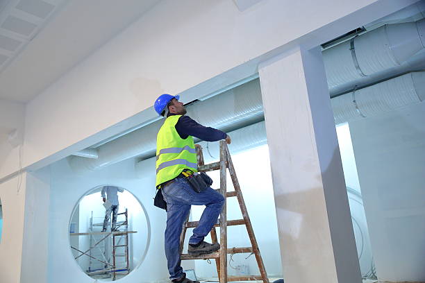 Best Mold Documentation for Insurance Claims  in Long Prairie, MN