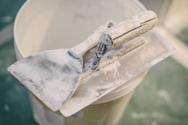 Best Post-Construction Mold Inspection  in Long Prairie, MN