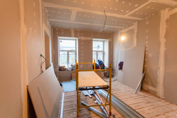 Best Residential Mold Inspection & Testing  in Long Prairie, MN